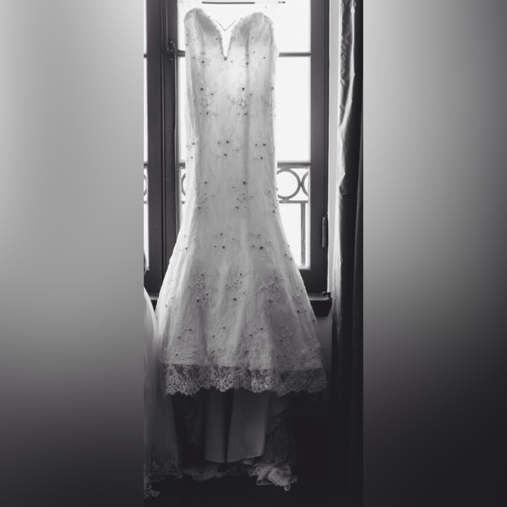 Romantic, timeless , mermaid shape lace wedding gown with cathedral veil.